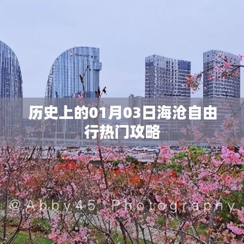 海沧自由行，热门攻略揭秘，一月三日启程探索历史之旅