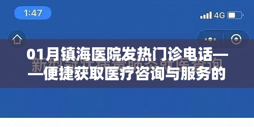 镇海医院发热门诊电话，医疗咨询与服务指南