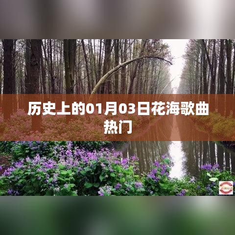 历史上的花海歌曲热潮，一月三日回顾