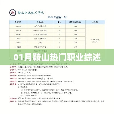 鞍山一月份热门职业概览