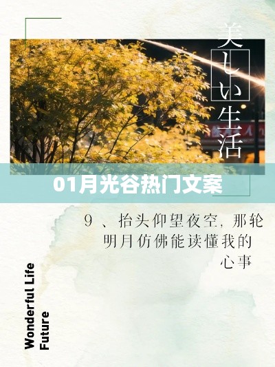 月光谷魅力文案精选