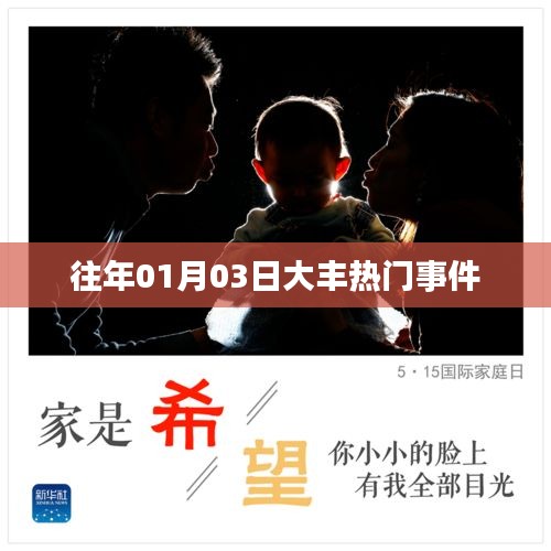大丰热门事件回顾，历年一月三日要闻盘点