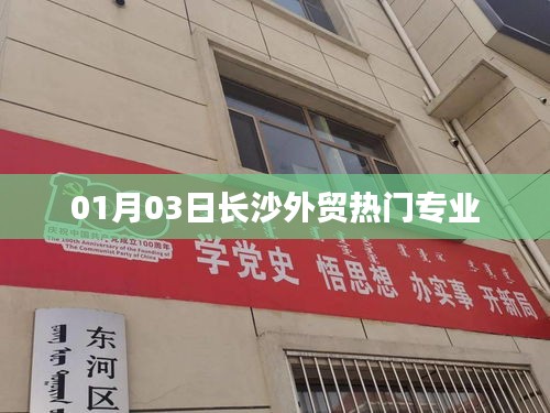 长沙外贸热门专业介绍，洞悉行业趋势