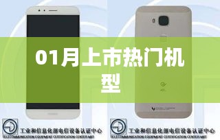01月上市热门机型大盘点
