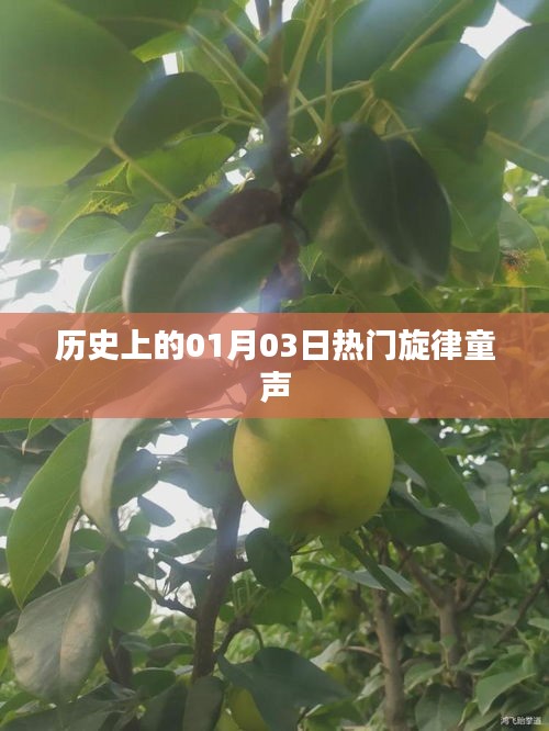 热门旋律童声，历史上的那些经典旋律回顾