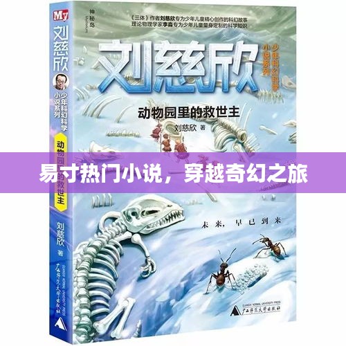 易寸穿越奇幻之旅，热门小说推荐