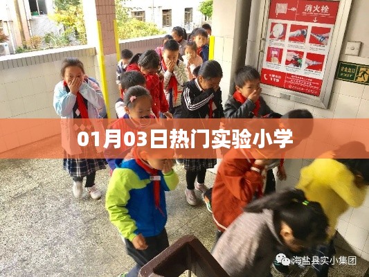 热门实验小学动态，最新资讯一网打尽