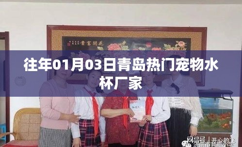 青岛宠物水杯厂家，历年热门产品一览