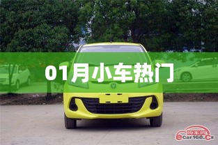 01月小车热点聚焦
