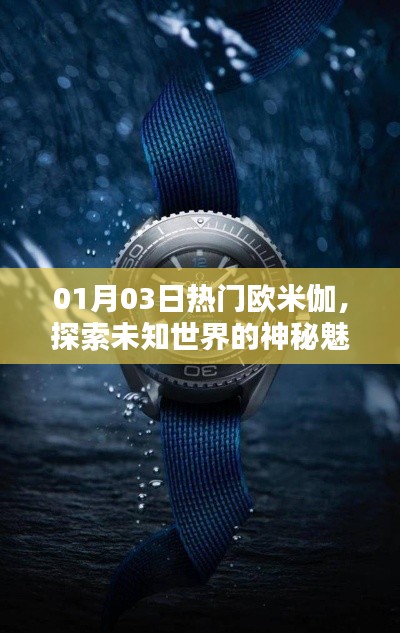 揭秘欧米伽的神秘魅力，探索未知世界的热潮