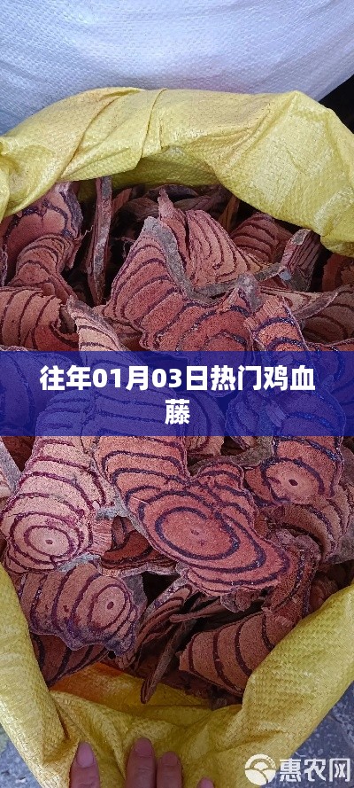 鸡血藤的热门时刻，历年一月初三盛况