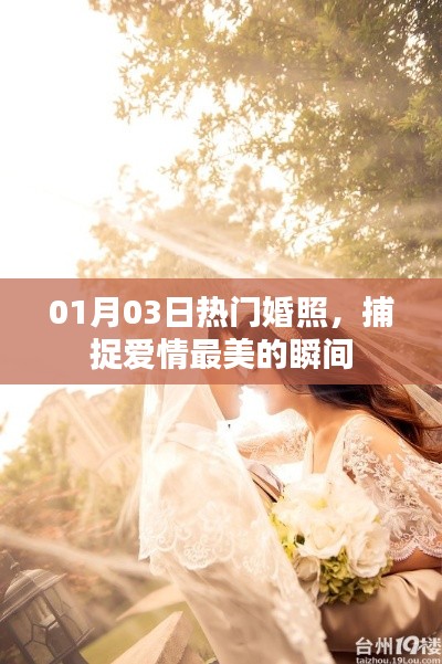 精选婚照瞬间，记录爱情的美丽时刻