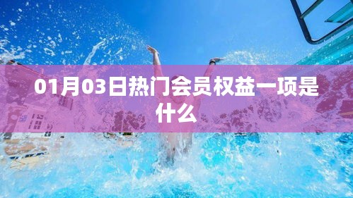 会员权益揭秘，最新热门权益更新一览