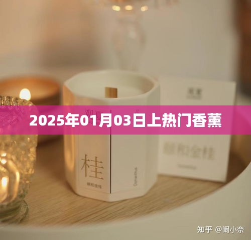 香薰界的热门新势力，2025年热门香薰揭秘