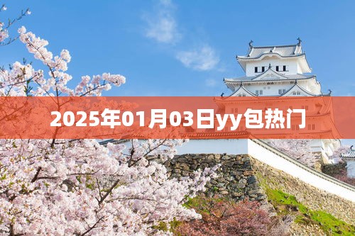 『2025年元旦YY包热门一览』