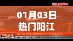 阳江最新热门资讯，01月03日一网打尽