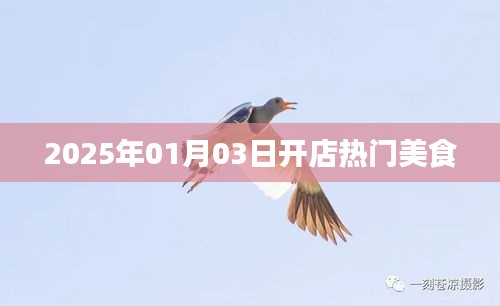 『2025年热门美食开店日记，新年新气象』