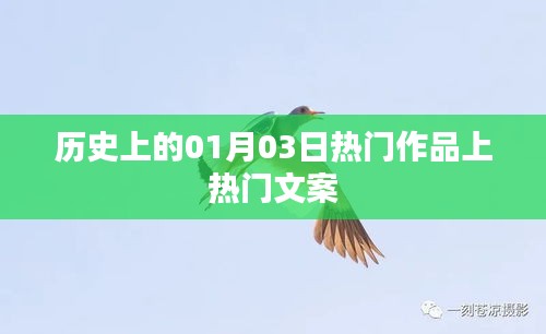 历史上的大事件，一月三日热门作品盘点