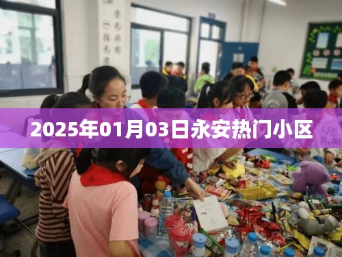 永安热门小区最新动态，2025年1月3日资讯速递