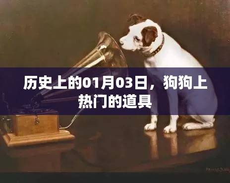 狗狗上热门道具揭秘，历史上的重要时刻——一月三日