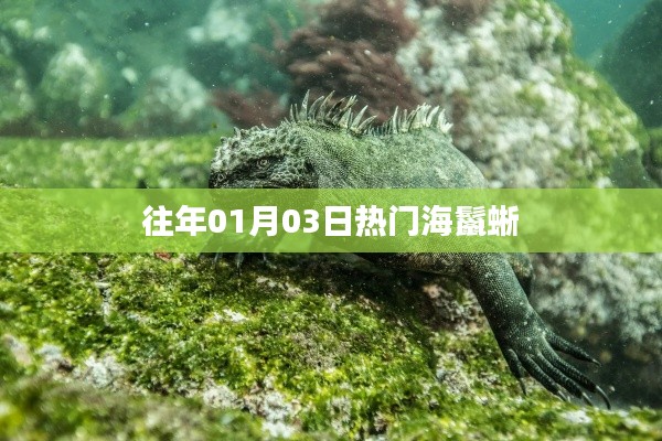 越鸟南栖 第3页