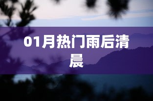 雨晨清新成热议焦点