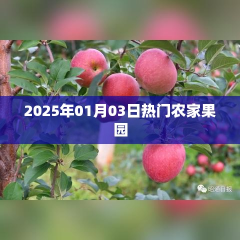 『2025年元旦后农家果园的热门之旅』