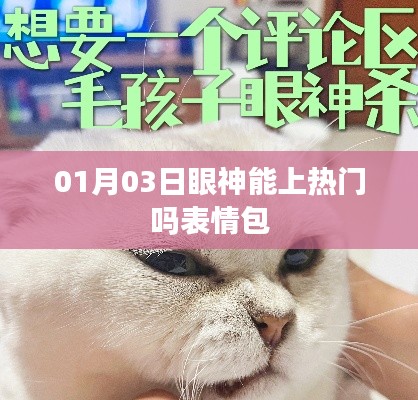 眼神表情包上热搜，背后的故事与魅力