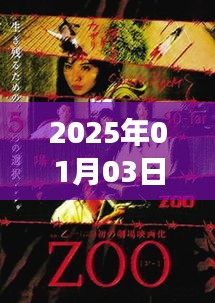 美国小故事电影TOP 5，2025年1月3日必看