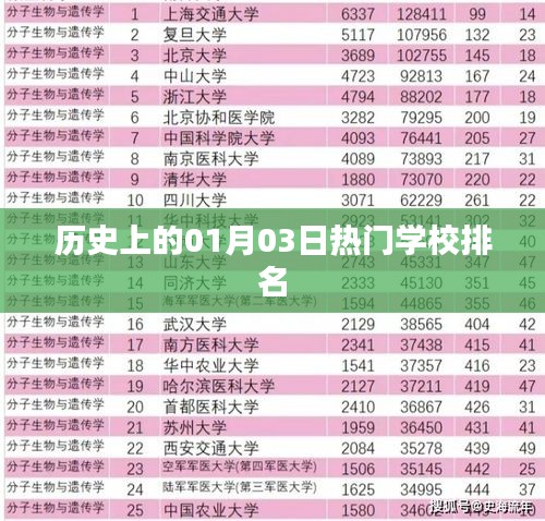 历史上的热门学校排名，一月三日榜单揭晓