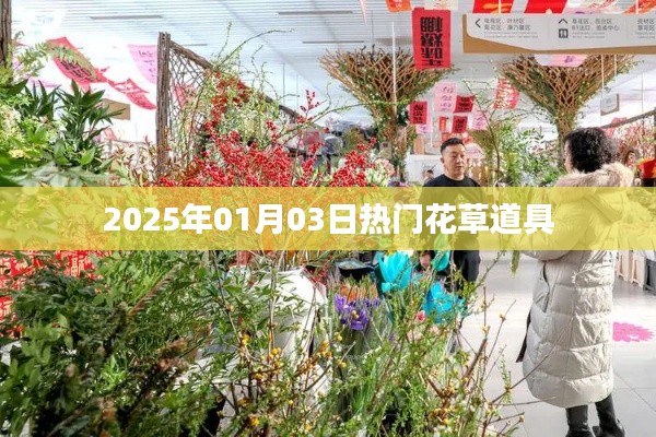 2025年热门花草道具概览