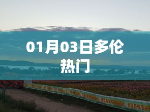 多伦热点事件，最新动态揭秘