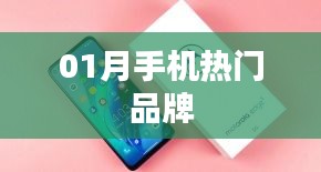 01月手机市场热门品牌大盘点