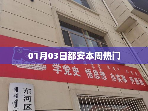 都安一周热门事件回顾（最新更新）