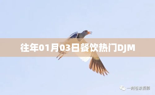 历年餐饮热门DJM回顾，历年一月三日潮流变迁