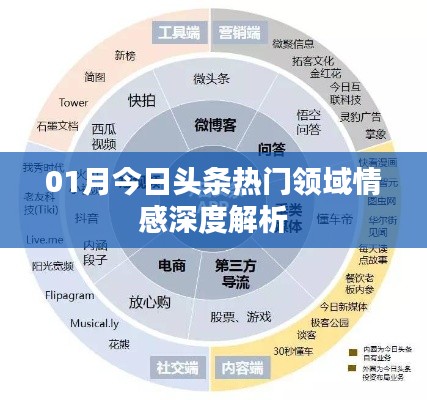 01月今日头条情感领域深度解析