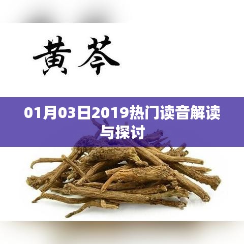关于读音解读与探讨的热门讨论（2019年1月3日）