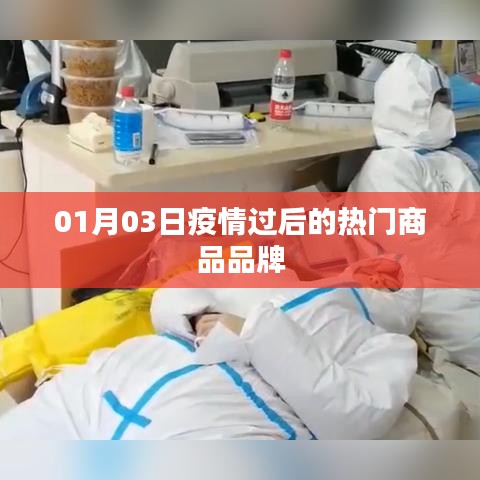 疫情过后的热门商品品牌动态解析