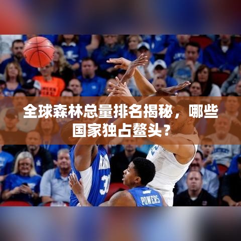 全球森林总量排名揭秘，哪些国家独占鳌头？