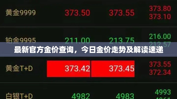 最新官方金价查询，今日金价走势及解读速递