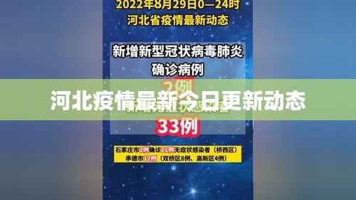 河北疫情最新今日更新动态
