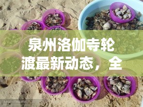 泉州洛伽寺轮渡最新动态，全新消息揭秘！