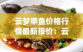 云梦甲鱼价格行情最新报价：云梦肉价 