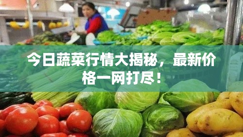 今日蔬菜行情大揭秘，最新价格一网打尽！