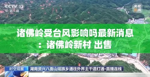 诸佛岭受台风影响吗最新消息：诸佛岭新村 出售 