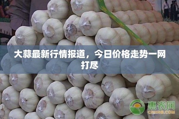 大蒜最新行情报道，今日价格走势一网打尽