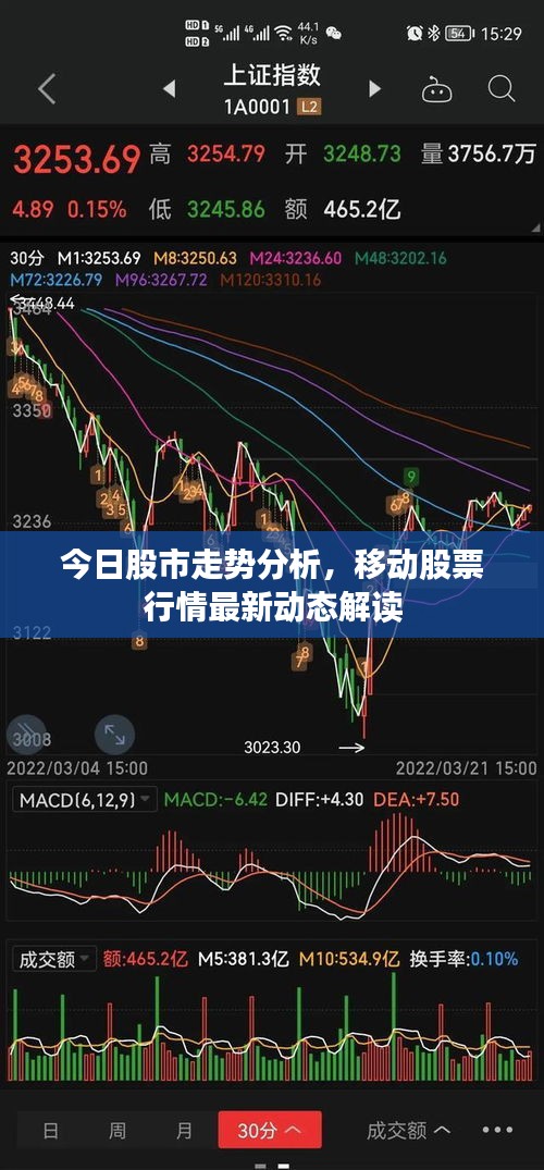 今日股市走势分析，移动股票行情最新动态解读
