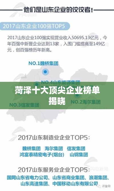 菏泽十大顶尖企业榜单揭晓
