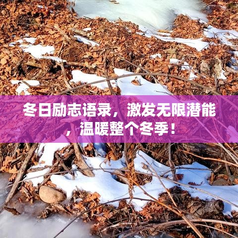 政策优势 第168页