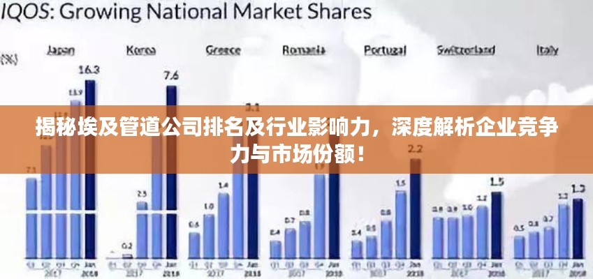 揭秘埃及管道公司排名及行业影响力，深度解析企业竞争力与市场份额！